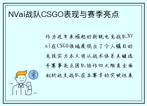 NVai战队CSGO表现与赛季亮点